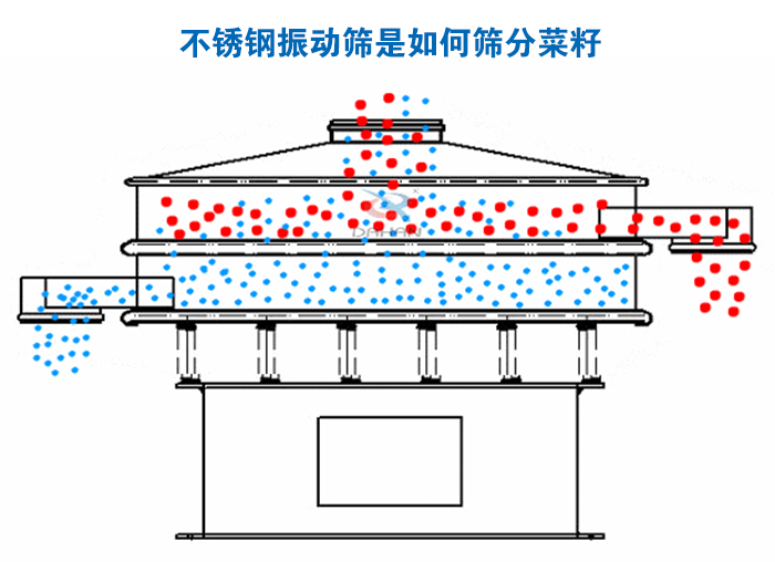不锈钢妖精视频在哪个网址播放