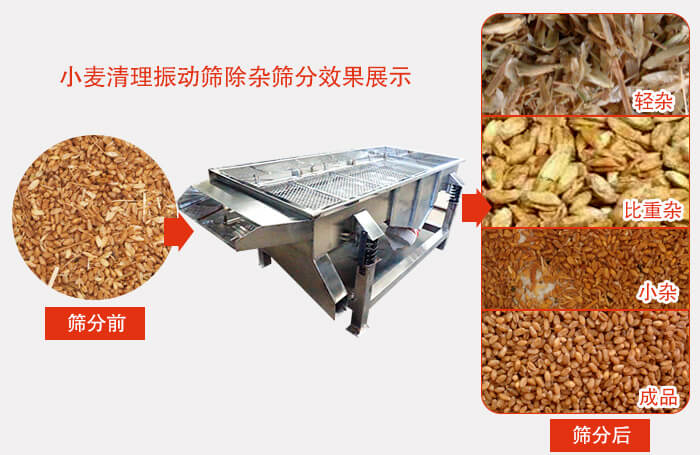 小麦清理妖精视频在哪个网址播放小麦筛分效果展示图可同时筛分出轻杂，比重杂，小杂，成品等四个等级。